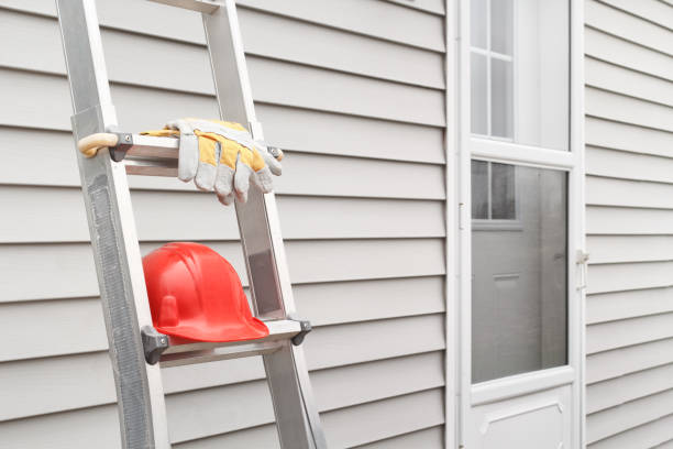 Best Furniture Removal  in Brown City, MI