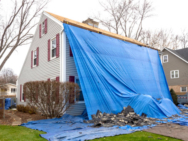 Best Construction Debris Removal  in Brown City, MI